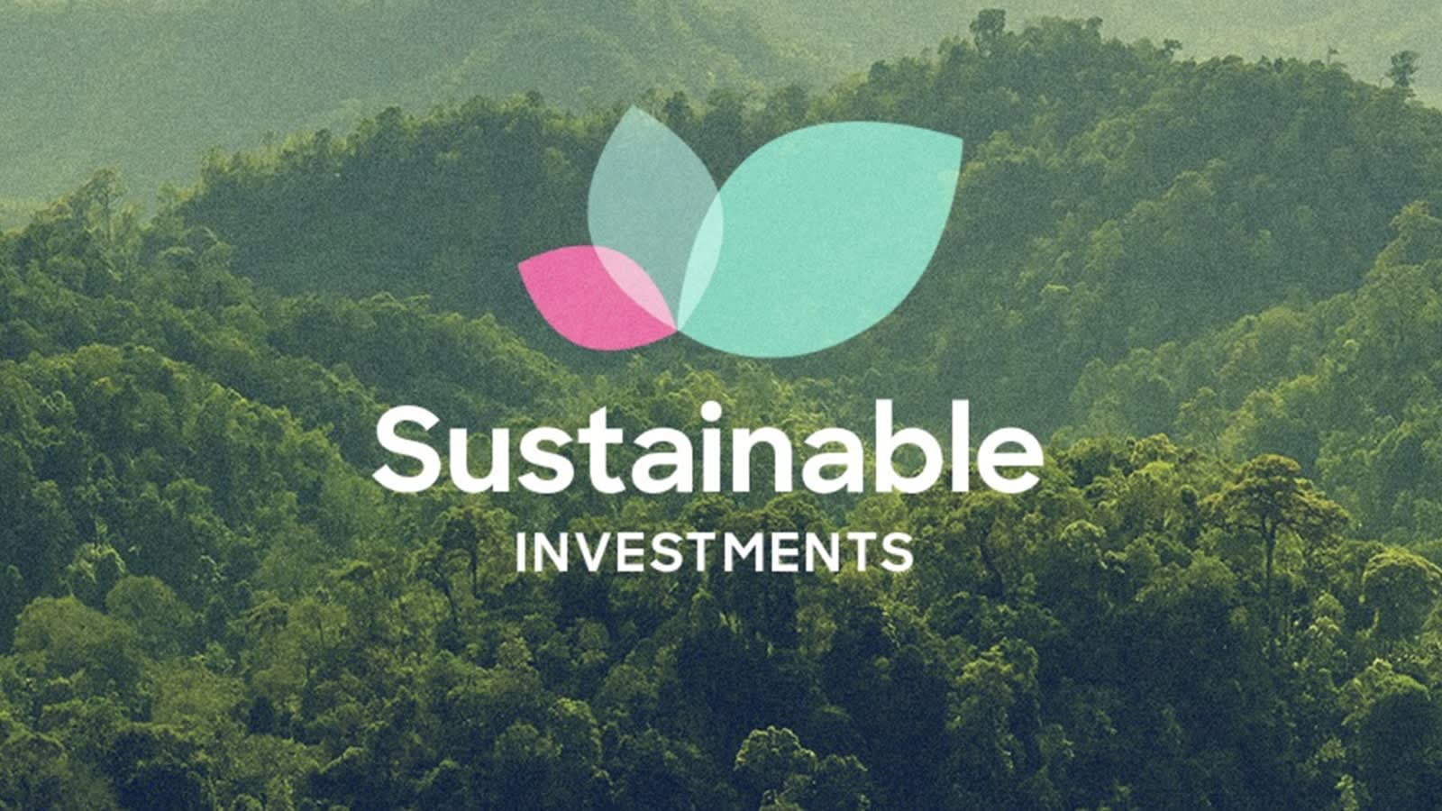 02 Sustainable Investments